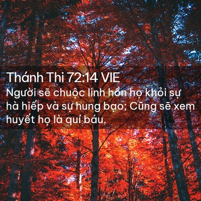 Picture 02 - Thánh Thi 72:14 VIE - Người sẽ chuộc linh hồn họ khỏi sự - Bible Verse Picture