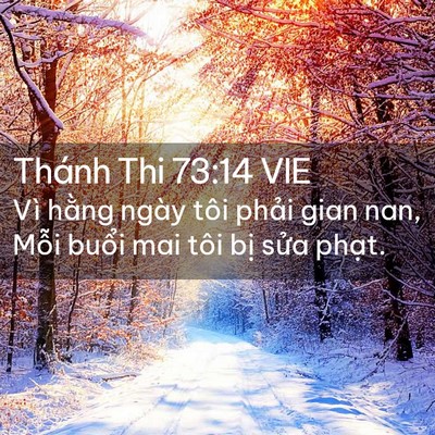 Picture 02 - Thánh Thi 73:14 VIE - Vì hằng ngày tôi phải gian nan, Mỗi - Bible Verse Picture