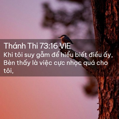Picture 02 - Thánh Thi 73:16 VIE - Khi tôi suy gẫm để hiểu biết điều - Bible Verse Picture