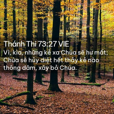 Picture 02 - Thánh Thi 73:27 VIE - Vì, kìa, những kẻ xa Chúa sẽ hư mất; - Bible Verse Picture