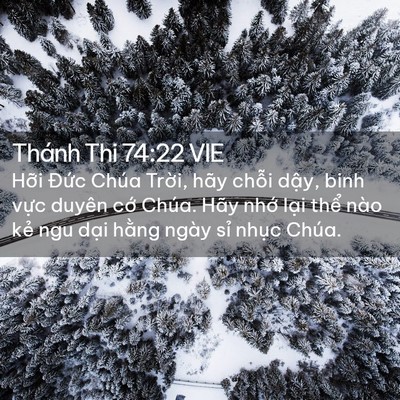 Picture 02 - Thánh Thi 74:22 VIE - Hỡi Đức Chúa Trời, hãy chỗi dậy, - Bible Verse Picture