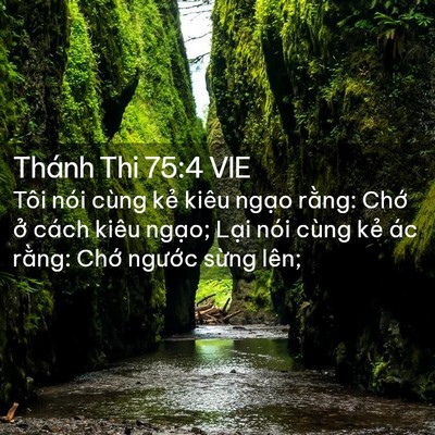 Picture 02 - Thánh Thi 75:4 VIE - Tôi nói cùng kẻ kiêu ngạo rằng: Chớ - Bible Verse Picture