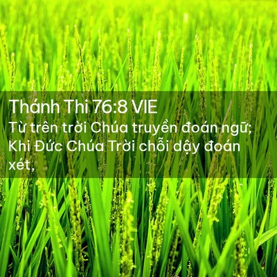 Picture 02 - Thánh Thi 76:8 VIE - Từ trên trời Chúa truyền đoán ngữ; - Bible Verse Picture