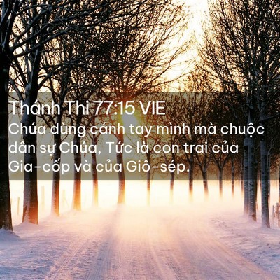 Picture 02 - Thánh Thi 77:15 VIE - Chúa dùng cánh tay mình mà chuộc dân sự - Bible Verse Picture