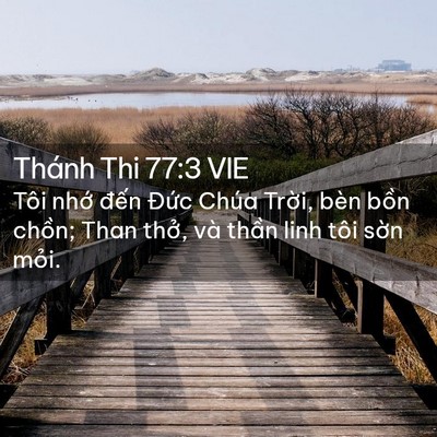Picture 02 - Thánh Thi 77:3 VIE - Tôi nhớ đến Đức Chúa Trời, bèn bồn - Bible Verse Picture