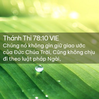 Picture 02 - Thánh Thi 78:10 VIE - Chúng nó không gìn giữ giao ước của - Bible Verse Picture