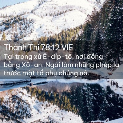 Picture 02 - Thánh Thi 78:12 VIE - Tại trong xứ Ê-díp-tô, nơi đồng bằng - Bible Verse Picture