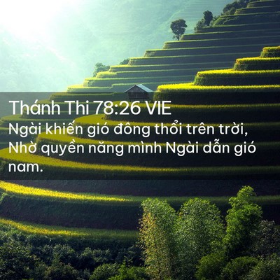 Picture 02 - Thánh Thi 78:26 VIE - Ngài khiến gió đông thổi trên trời, - Bible Verse Picture