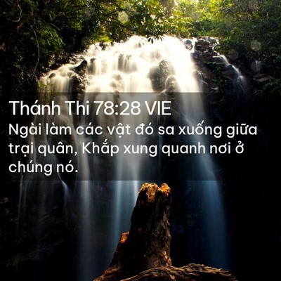 Picture 02 - Thánh Thi 78:28 VIE - Ngài làm các vật đó sa xuống giữa - Bible Verse Picture
