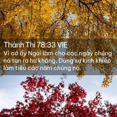 Picture 02 - Thánh Thi 78:33 VIE - Vì cớ ấy Ngài làm cho các ngày chúng - Bible Verse Picture