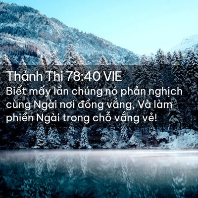 Picture 02 - Thánh Thi 78:40 VIE - Biết mấy lần chúng nó phản nghịch - Bible Verse Picture