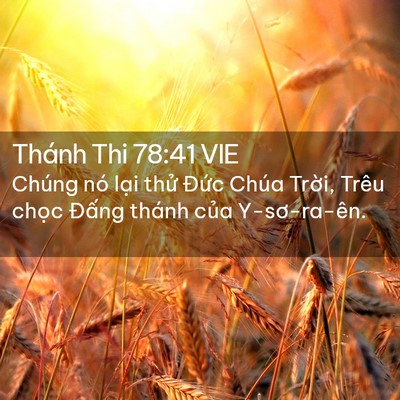 Picture 02 - Thánh Thi 78:41 VIE - Chúng nó lại thử Đức Chúa Trời, Trêu - Bible Verse Picture