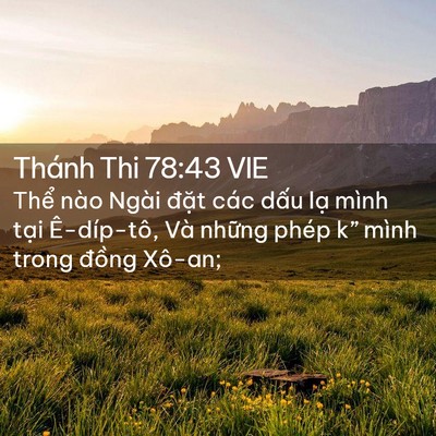 Picture 02 - Thánh Thi 78:43 VIE - Thể nào Ngài đặt các dấu lạ mình - Bible Verse Picture