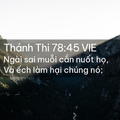 Picture 02 - Thánh Thi 78:45 VIE - Ngài sai muỗi cắn nuốt họ, Và ếch - Bible Verse Picture