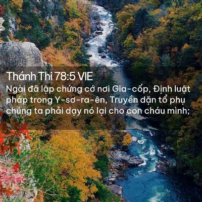 Picture 02 - Thánh Thi 78:5 VIE - Ngài đã lập chứng cớ nơi Gia-cốp, - Bible Verse Picture