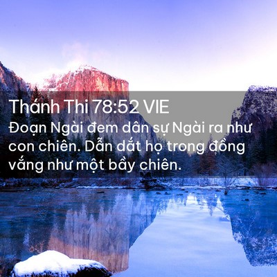 Picture 02 - Thánh Thi 78:52 VIE - Đoạn Ngài đem dân sự Ngài ra như con - Bible Verse Picture