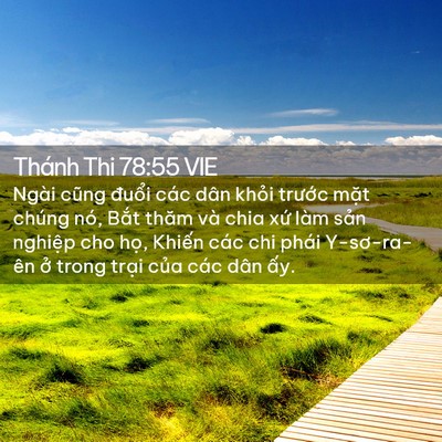Picture 02 - Thánh Thi 78:55 VIE - Ngài cũng đuổi các dân khỏi trước - Bible Verse Picture