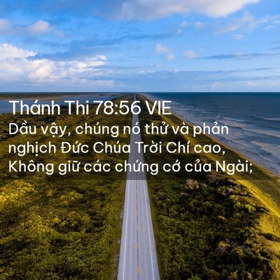 Picture 02 - Thánh Thi 78:56 VIE - Dầu vậy, chúng nó thử và phản nghịch - Bible Verse Picture