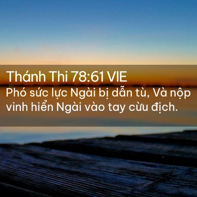 Picture 02 - Thánh Thi 78:61 VIE - Phó sức lực Ngài bị dẫn tù, Và nộp - Bible Verse Picture