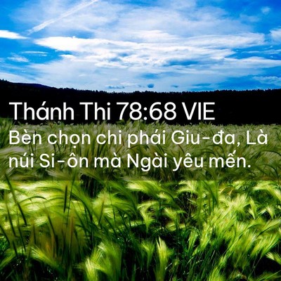 Picture 02 - Thánh Thi 78:68 VIE - Bèn chọn chi phái Giu-đa, Là núi Si-ôn - Bible Verse Picture