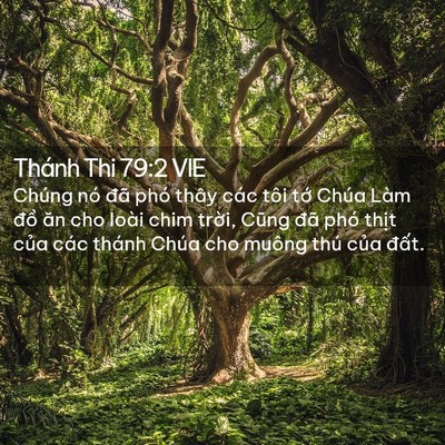 Picture 02 - Thánh Thi 79:2 VIE - Chúng nó đã phó thây các tôi tớ Chúa - Bible Verse Picture