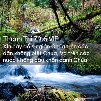 Picture 02 - Thánh Thi 79:6 VIE - Xin hãy đổ sự giận Chúa trên các dân - Bible Verse Picture