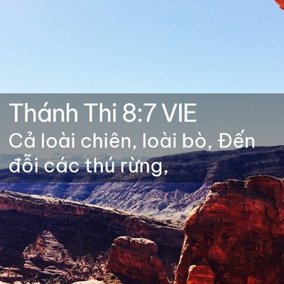 Picture 02 - Thánh Thi 8:7 VIE - Cả loài chiên, loài bò, Đến đỗi các - Bible Verse Picture