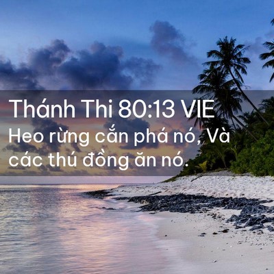 Picture 02 - Thánh Thi 80:13 VIE - Heo rừng cắn phá nó, Và các thú đồng - Bible Verse Picture