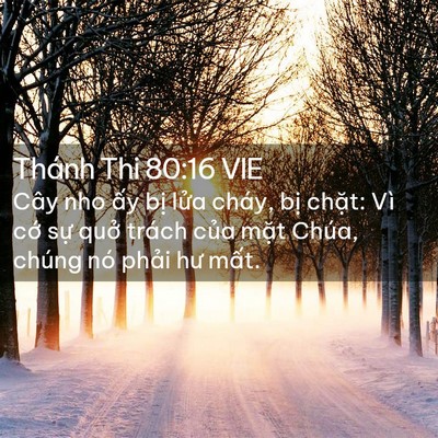 Picture 02 - Thánh Thi 80:16 VIE - Cây nho ấy bị lửa cháy, bị chặt: Vì - Bible Verse Picture