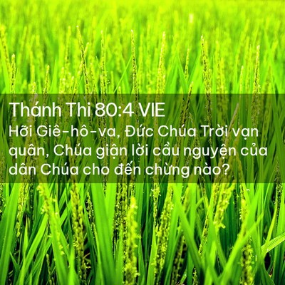 Picture 02 - Thánh Thi 80:4 VIE - Hỡi Giê-hô-va, Đức Chúa Trời vạn - Bible Verse Picture