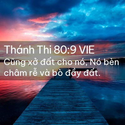 Picture 02 - Thánh Thi 80:9 VIE - Cũng xở đất cho nó, Nó bèn châm rễ - Bible Verse Picture