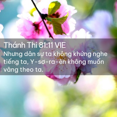 Picture 02 - Thánh Thi 81:11 VIE - Nhưng dân sự ta không khứng nghe tiếng - Bible Verse Picture