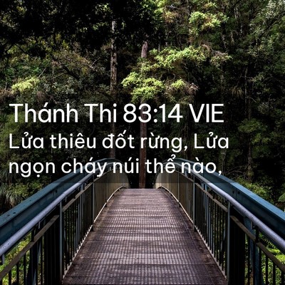 Picture 02 - Thánh Thi 83:14 VIE - Lửa thiêu đốt rừng, Lửa ngọn cháy - Bible Verse Picture