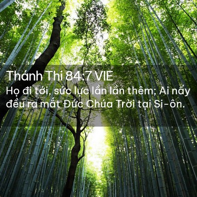 Picture 02 - Thánh Thi 84:7 VIE - Họ đi tới, sức lực lần lần thêm; Ai - Bible Verse Picture