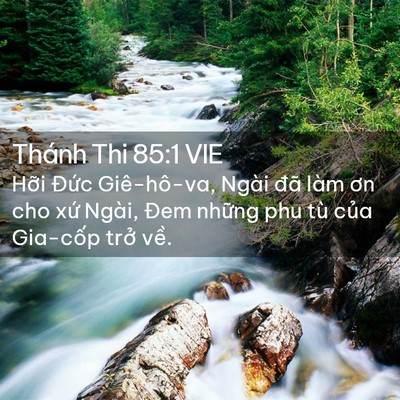 Picture 02 - Thánh Thi 85:1 VIE - Hỡi Đức Giê-hô-va, Ngài đã làm ơn cho - Bible Verse Picture