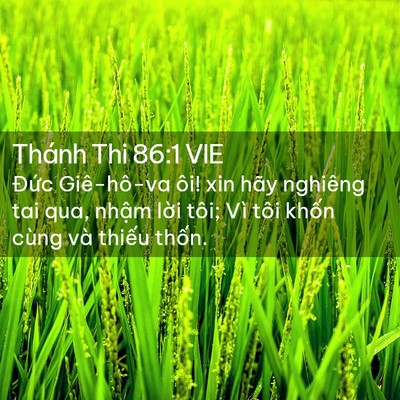 Picture 02 - Thánh Thi 86:1 VIE - Đức Giê-hô-va ôi! xin hãy nghiêng tai - Bible Verse Picture