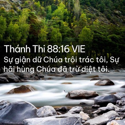 Picture 02 - Thánh Thi 88:16 VIE - Sự giận dữ Chúa trôi trác tôi, Sự - Bible Verse Picture