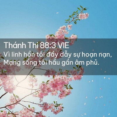 Picture 02 - Thánh Thi 88:3 VIE - Vì linh hồn tôi đầy dẫy sự hoạn - Bible Verse Picture
