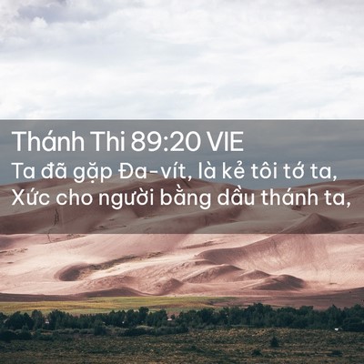 Picture 02 - Thánh Thi 89:20 VIE - Ta đã gặp Đa-vít, là kẻ tôi tớ ta, - Bible Verse Picture
