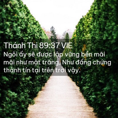 Picture 02 - Thánh Thi 89:37 VIE - Ngôi ấy sẽ được lập vững bền mãi - Bible Verse Picture