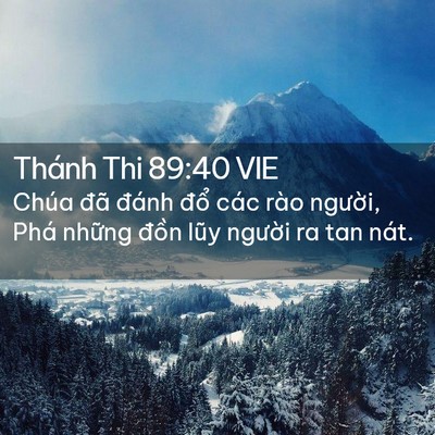 Picture 02 - Thánh Thi 89:40 VIE - Chúa đã đánh đổ các rào người, Phá - Bible Verse Picture