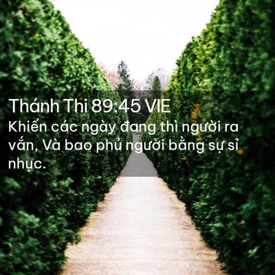 Picture 02 - Thánh Thi 89:45 VIE - Khiến các ngày đang thì người ra vắn, - Bible Verse Picture
