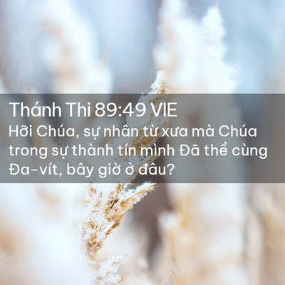 Picture 02 - Thánh Thi 89:49 VIE - Hỡi Chúa, sự nhân từ xưa mà Chúa trong - Bible Verse Picture