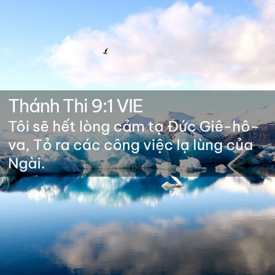 Picture 02 - Thánh Thi 9:1 VIE - Tôi sẽ hết lòng cảm tạ Đức - Bible Verse Picture