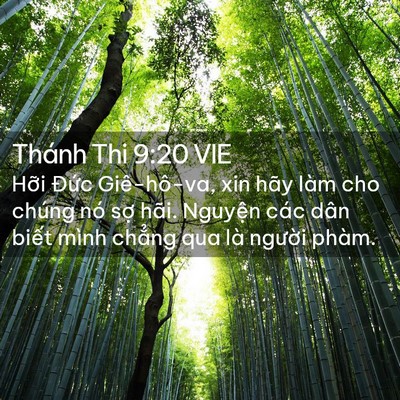 Picture 02 - Thánh Thi 9:20 VIE - Hỡi Đức Giê-hô-va, xin hãy làm cho - Bible Verse Picture