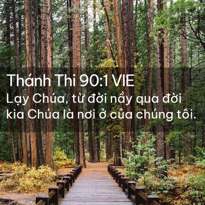 Picture 02 - Thánh Thi 90:1 VIE - Lạy Chúa, từ đời nầy qua đời kia - Bible Verse Picture
