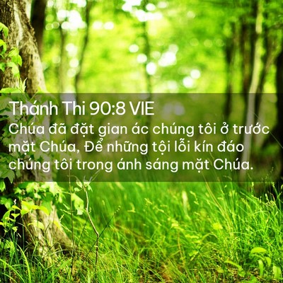 Picture 02 - Thánh Thi 90:8 VIE - Chúa đã đặt gian ác chúng tôi ở - Bible Verse Picture