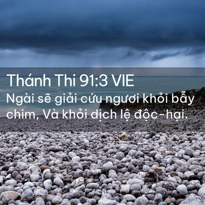 Picture 02 - Thánh Thi 91:3 VIE - Ngài sẽ giải cứu ngươi khỏi bẫy - Bible Verse Picture