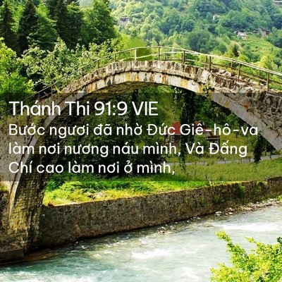 Picture 02 - Thánh Thi 91:9 VIE - Bước ngươi đã nhờ Đức Giê-hô-va - Bible Verse Picture