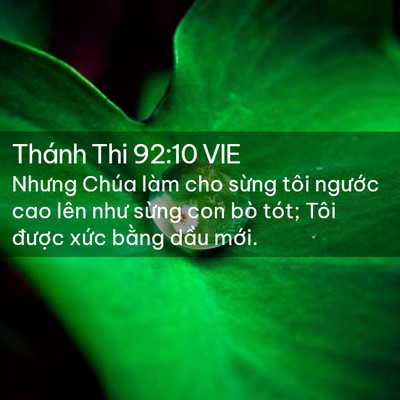 Picture 02 - Thánh Thi 92:10 VIE - Nhưng Chúa làm cho sừng tôi ngước cao - Bible Verse Picture